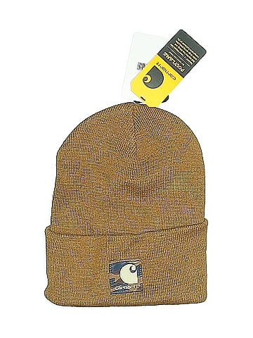 Carhartt Beanie (view 1)