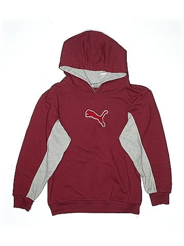 Puma Pullover Hoodie (view 1)