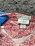 Calypso St. Barth 100% Silk Pink 3/4 Sleeve Silk Top Size L - photo 7