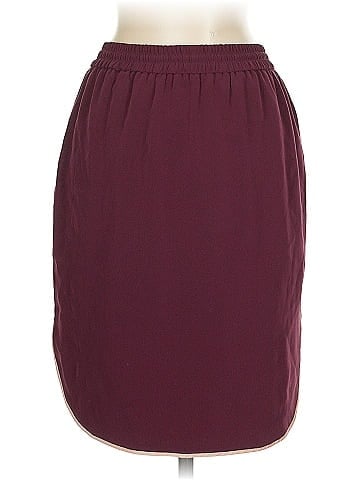 Elizabeth and James Silk Skirt (view 2)