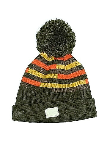 Turtle Fur Beanie (view 1)
