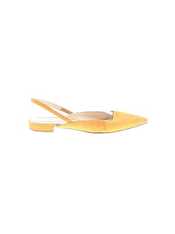 Everlane Flats (view 1)