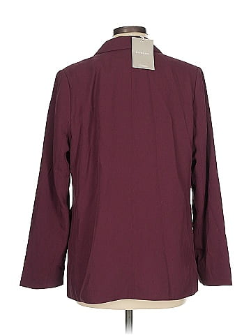 Everlane Blazer (view 2)