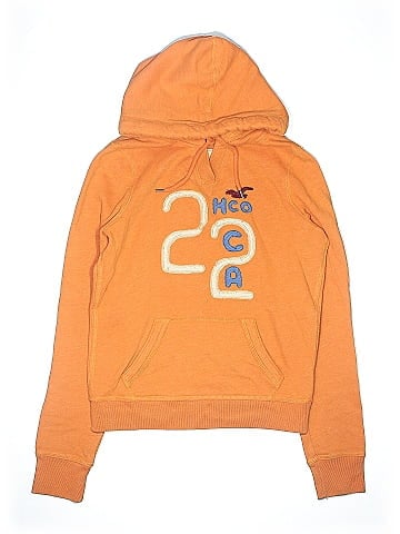 Hollister Pullover Hoodie (view 1)