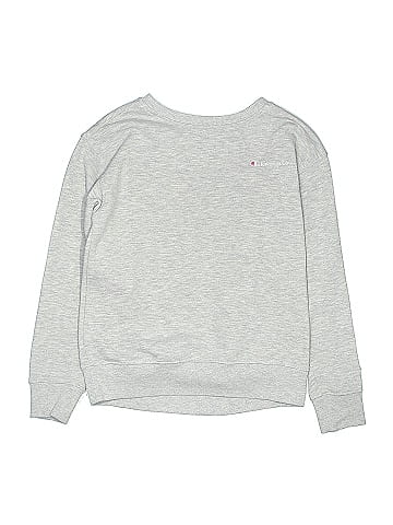 Champion Sweatshirt (view 1)