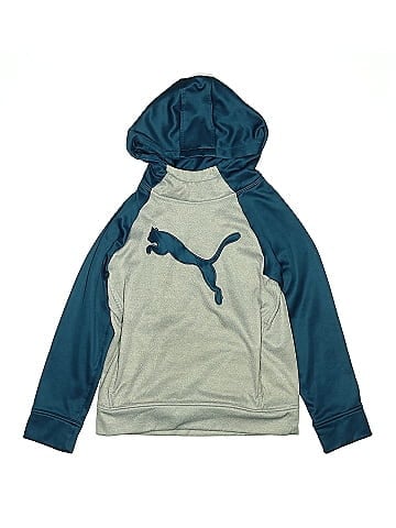 Puma Pullover Hoodie (view 1)