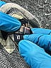 Barbour Argyle Gray Pullover Sweater Size 10 - photo 5