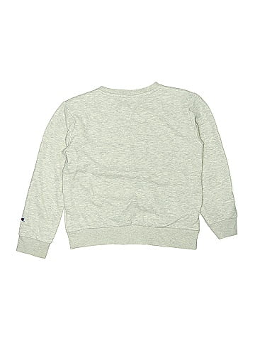 Champion Sweatshirt (view 2)