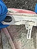 Floreat Tropical Pink Active Pants Size XL - photo 4