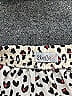 2Bella Print Ivory Casual Skirt Size S - photo 4