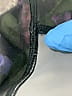 Lululemon Athletica Print Blue Purple Active Pants Size 6 - photo 7