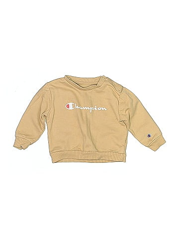 Champion Sweatshirt (view 1)