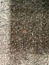 Les Copains Gray Long Sleeve Turtleneck Size EU 38 / US 8 - photo 8