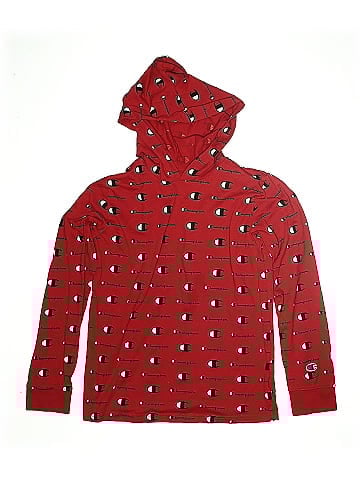 Champion Pullover Hoodie (view 1)