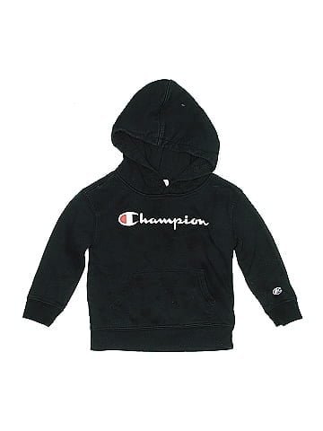 Champion Pullover Hoodie (view 1)