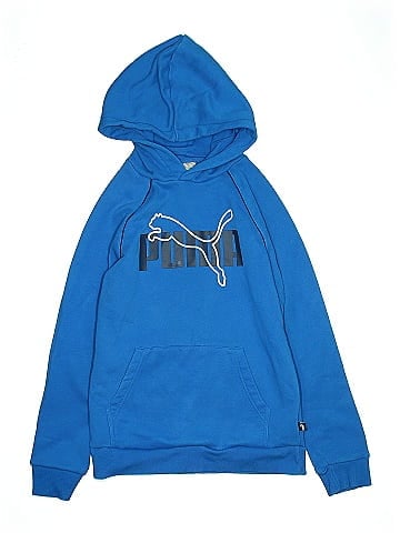 Puma Pullover Hoodie (view 1)