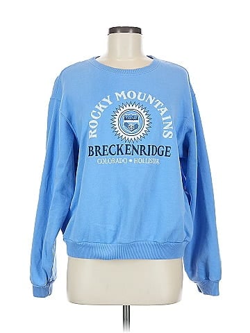 Hollister Sweatshirt (view 1)