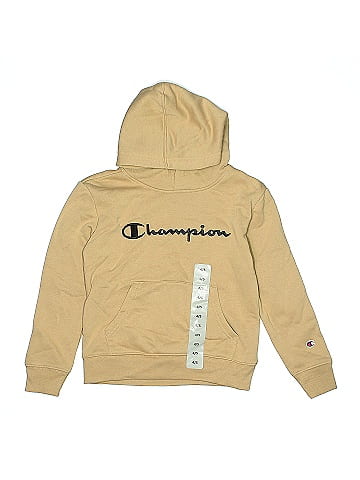 Champion Pullover Hoodie (view 1)