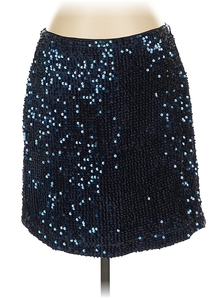 Pre-owned Rachel Zoe Tjx Casual Skirt In Blue