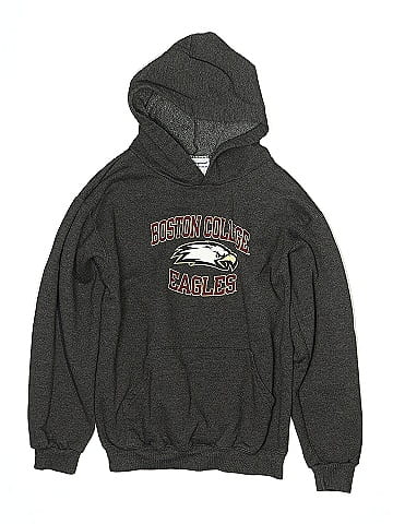 Champion Pullover Hoodie (view 1)