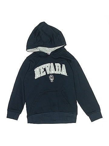 Champion Pullover Hoodie (view 1)