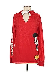 Disney Parks Pullover Hoodie