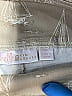 Belle By Kim Gravel Tan Casual Pants Size 12 - photo 4