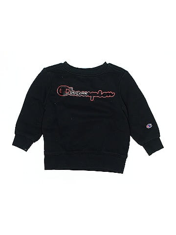 Champion Sweatshirt (view 1)