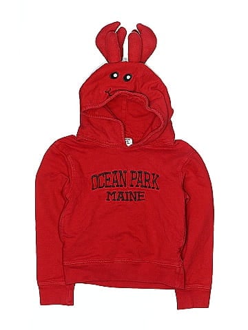 Wild Child Pullover Hoodie (view 1)