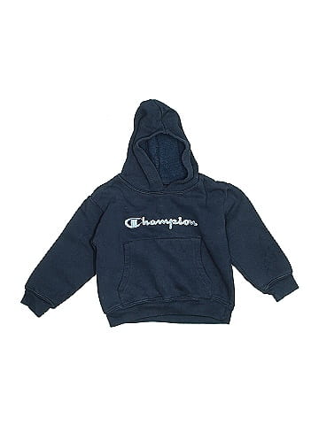Champion Pullover Hoodie (view 1)