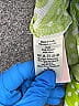 Porridge Green 3/4 Sleeve Blouse Size S - photo 5