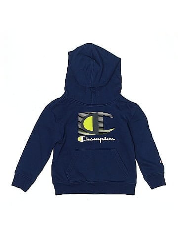 Champion Pullover Hoodie (view 1)