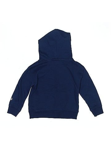 Champion Pullover Hoodie (view 2)