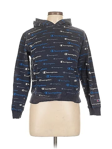 Champion Pullover Hoodie (view 1)