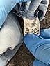 Fantastic Fawn 100% Polyester Blue Overalls Size M - photo 4