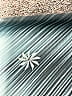 Athleta Print Blue Active Pants Size XS - photo 5
