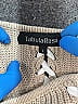 Tabula Rasa 100% Cotton Tan Pullover Sweater Size L - photo 6