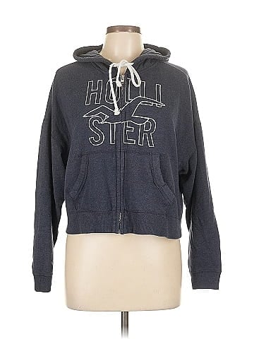 Hollister Zip Up Hoodie (view 1)