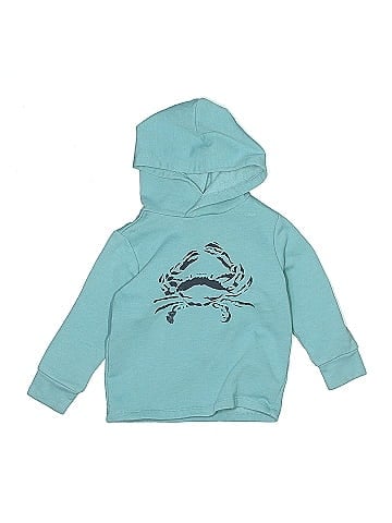 Crewcuts Outlet Pullover Hoodie (view 1)