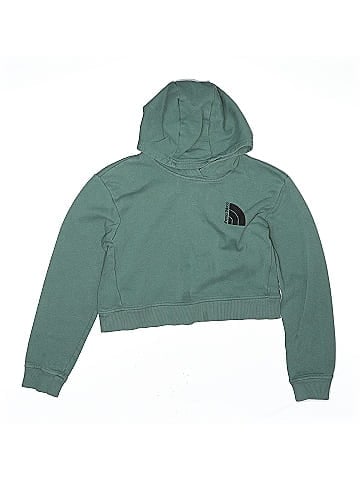 The North Face Pullover Hoodie (view 1)