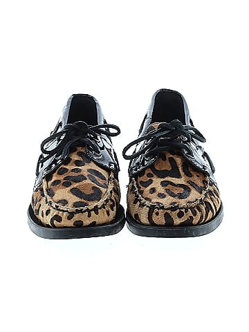 Sebago Flats (view 2)