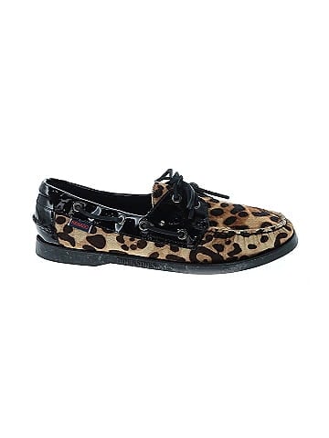 Sebago Flats (view 1)