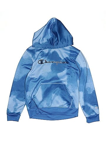 Champion Pullover Hoodie (view 1)