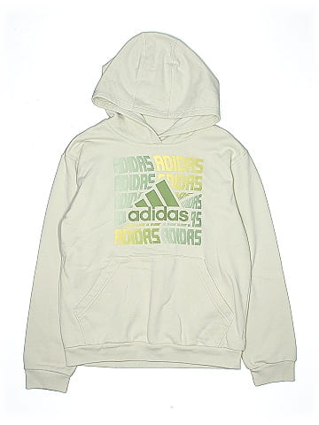 Adidas Pullover Hoodie (view 1)