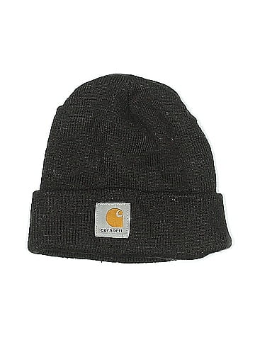 Carhartt Beanie (view 1)