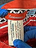 Cartonnier Orange Dress Pants Size 2 - photo 3