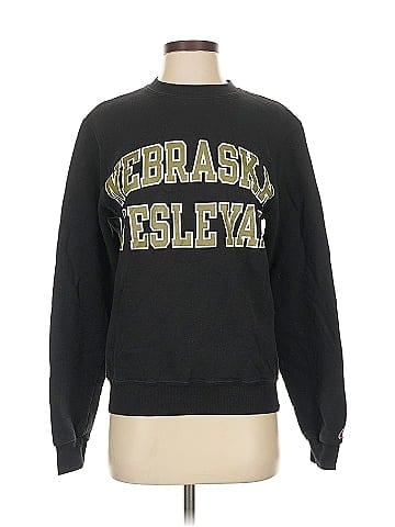 Champion Sweatshirt (view 1)