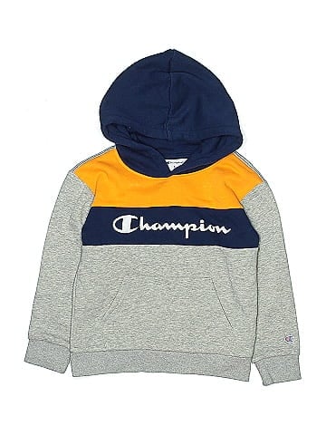 Champion Sweatshirt (view 1)