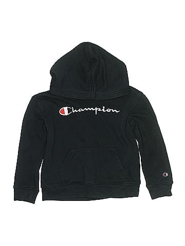 Champion Pullover Hoodie (view 1)