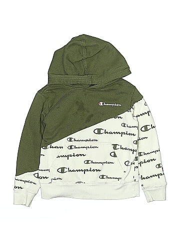 Champion Pullover Hoodie (view 1)